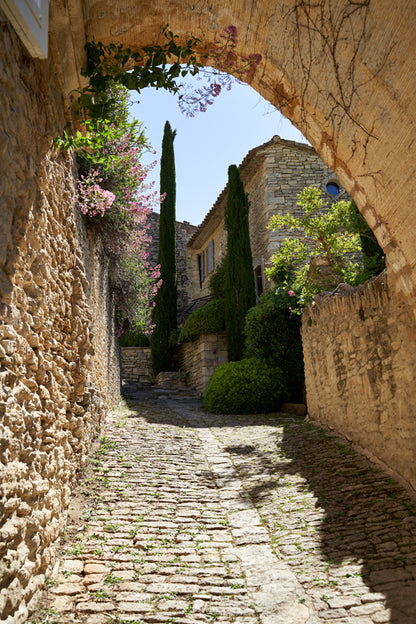 Charmed by Provence Workshops